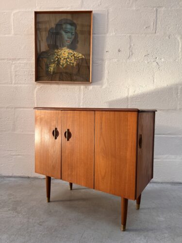 Mid Century Teak Media Cabinet, Vinyl Storage Cupboard